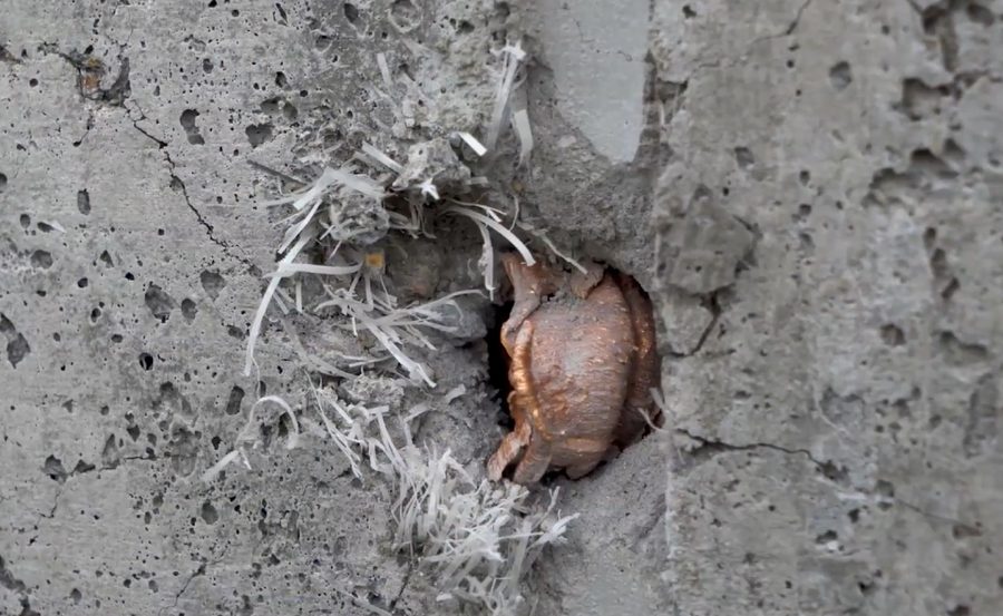50 Cal Vs Wall Wall Wins